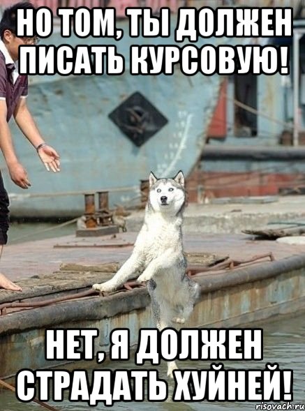 Но Том, ты должен писать курсовую! Нет, я должен страдать хуйней!