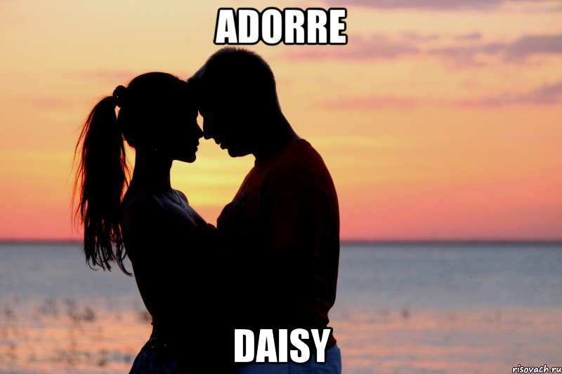 Adorre Daisy