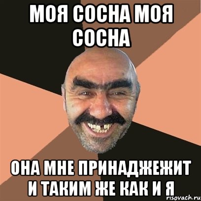 Моя сосна моя сосна Она мне принаджежит и таким же как и я, Мем Я твой дом труба шатал