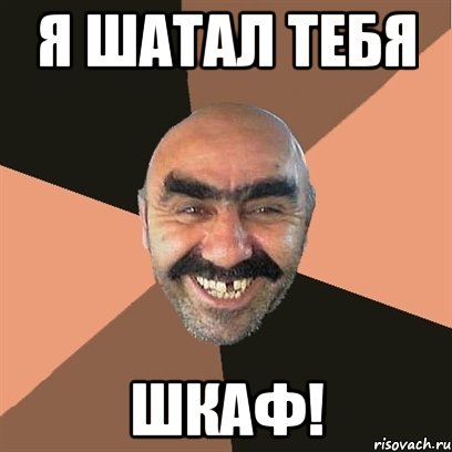 Я шатал тебя Шкаф!, Мем Я твой дом труба шатал