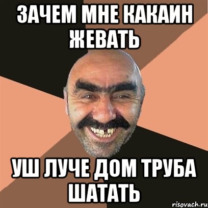 ЗАЧЕМ МНЕ КАКАИН ЖЕВАТЬ УШ ЛУЧЕ ДОМ ТРУБА ШАТАТЬ, Мем Я твой дом труба шатал