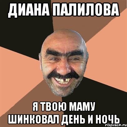Диана Палилова я твою маму шинковал день и ночь, Мем Я твой дом труба шатал