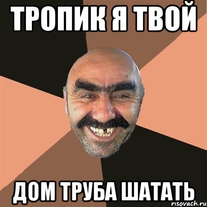 тропик я твой дом труба шатать, Мем Я твой дом труба шатал