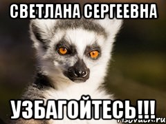 Светлана Сергеевна Узбагойтесь!!!, Мем Я збагоен