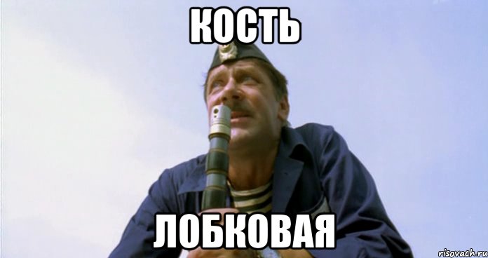 КОСТЬ ЛОБКОВАЯ