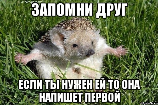 запомни друг если ты нужен ей то она напишет первой