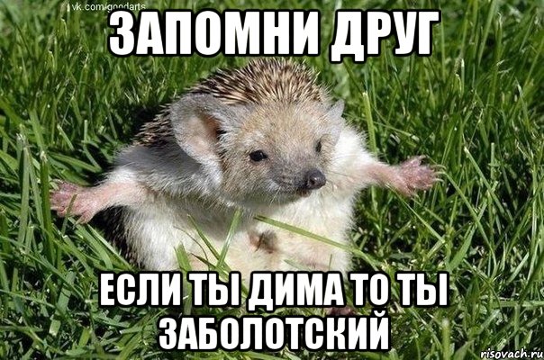 запомни друг если ты Дима то ты заболотский