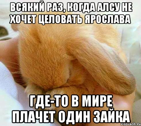 Всякий раз, когда Алсу не хочет целовать ярослава Где-то в мире плачет один зайка