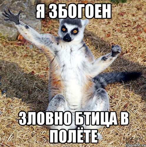 я збогоен зловно бтица в полёте