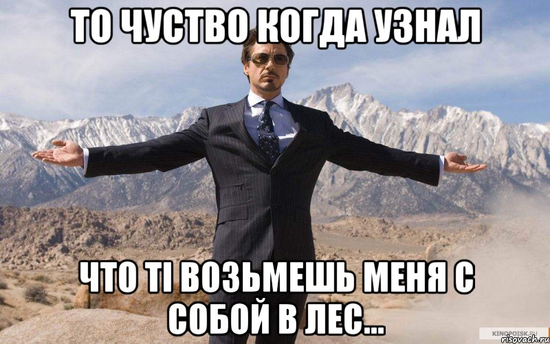 То чуство когда узнал что ті возьмешь меня с собой в лес..., Мем железный человек