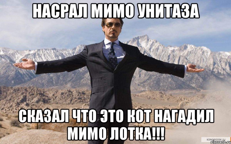 Насрал мимо унитаза Сказал что это кот нагадил мимо лотка!!!, Мем железный человек