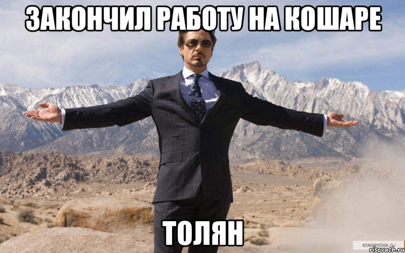 Закончил работу на кошаре ТОЛЯН, Мем железный человек