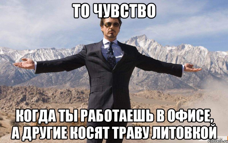 То чувство когда ты работаешь в офисе, а другие косят траву литовкой, Мем железный человек