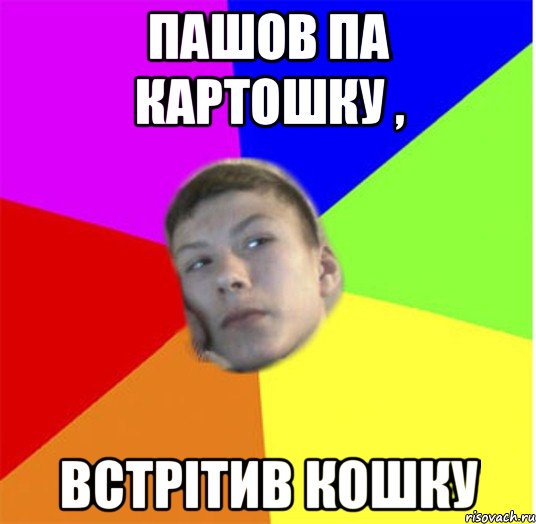 пашов па картошку , встрітив кошку