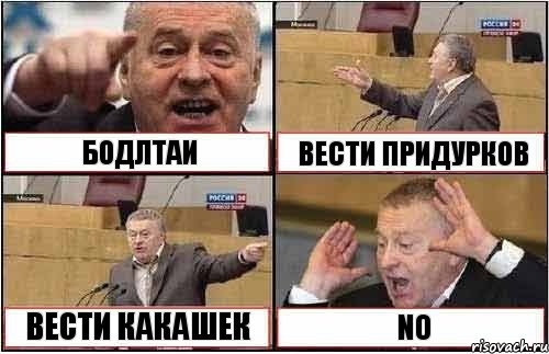 БОДЛТАИ ВЕСТИ ПРИДУРКОВ ВЕСТИ КАКАШЕК NО, Комикс жиреновский