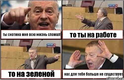 ты скотина мне всю жизнь сломал! то ты на работе то на зеленой нас для тебя больше не существует, Комикс жиреновский