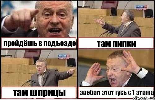 пройдёшь в подъезде там пипки там шприцы заебал этот гусь с 1 этажа, Комикс жиреновский