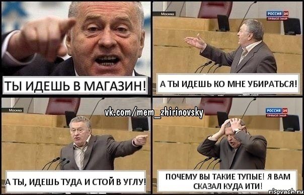 ты идешь в магазин! а ты идешь ко мне убираться! а ты, идешь туда и стой в углу! почему вы такие тупые! я вам сказал куда ити!, Комикс Жирик