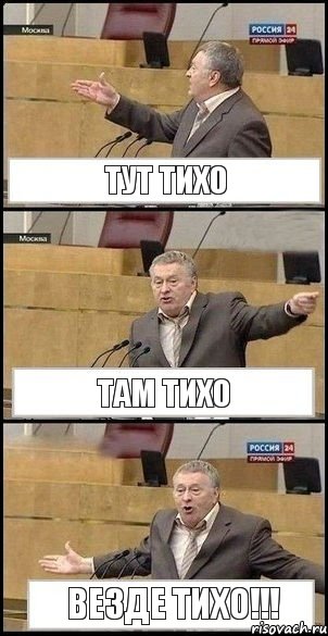 Тут тихо Там тихо Везде тихо!!!, Комикс Жириновский разводит руками 3