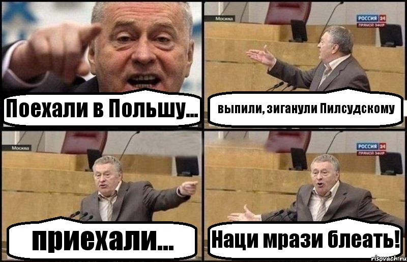 Поехали в Польшу... выпили, зиганули Пилсудскому приехали... Наци мрази блеать!, Комикс Жириновский