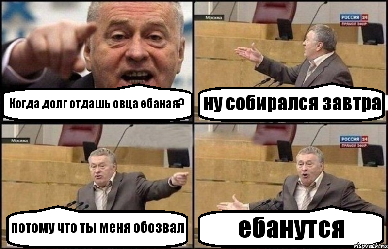 Когда долг отдашь овца ебаная? ну собирался завтра потому что ты меня обозвал ебанутся, Комикс Жириновский