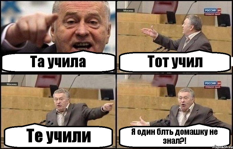 Та учила Тот учил Те учили Я один блть домашку не знал?!, Комикс Жириновский