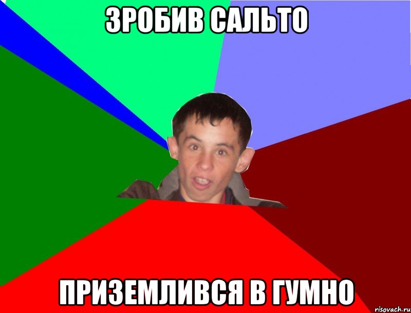 Зробив сальто приземлився в гумно