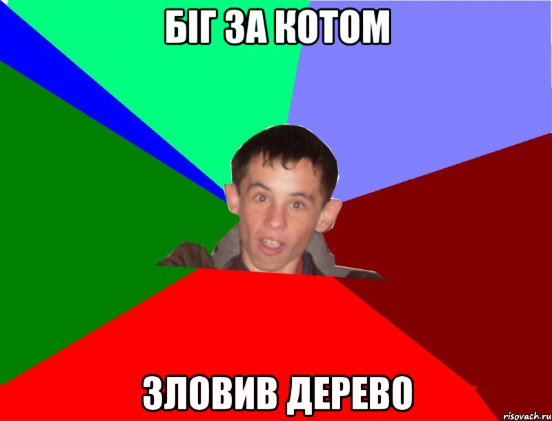 Біг за котом Зловив дерево