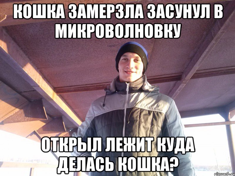 кошка замерзла засунул в микроволновку открыл лежит куда делась кошка?