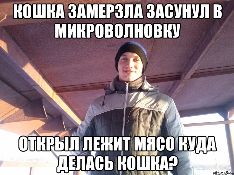 кошка замерзла засунул в микроволновку открыл лежит мясо куда делась кошка?
