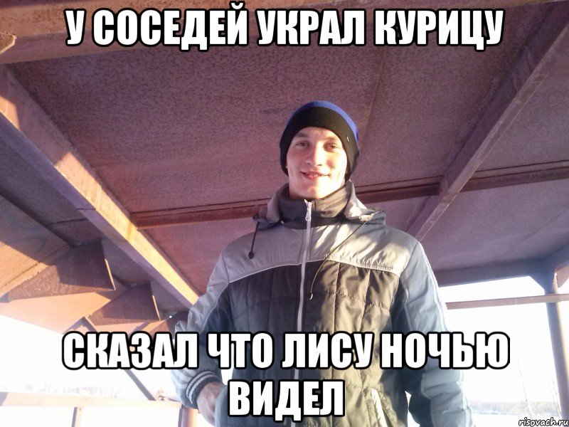 у соседей украл курицу сказал что лису ночью видел