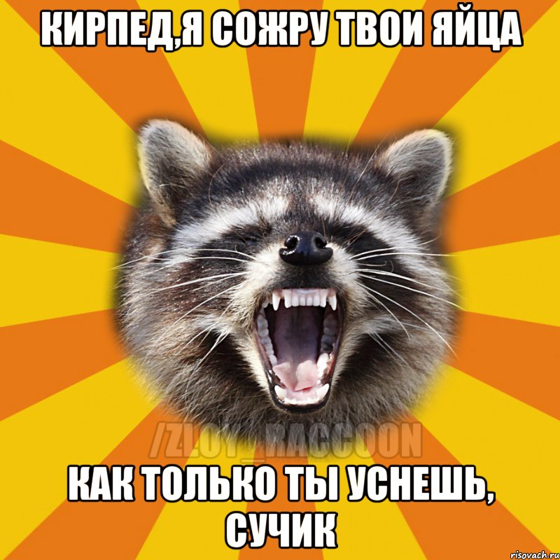 кирпед,я сожру твои яйца как только ты уснешь, сучик