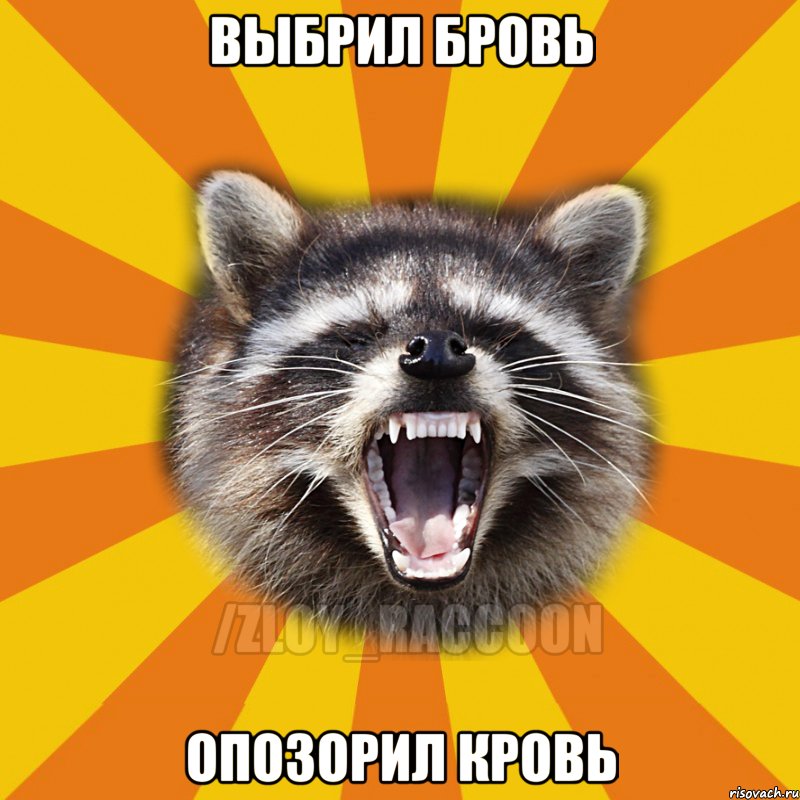 Выбрил бровь опозорил кровь