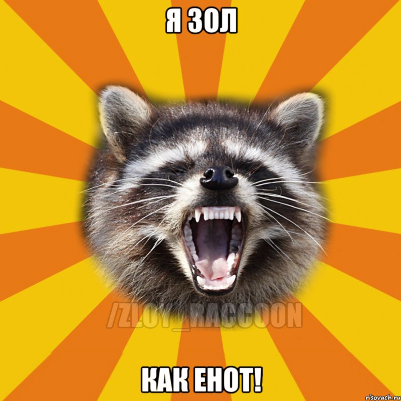 Я зол как енот!