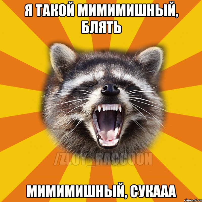 Я ТАКОЙ МИМИМИШНЫЙ, БЛЯТЬ МИМИМИШНЫЙ, СУКААА