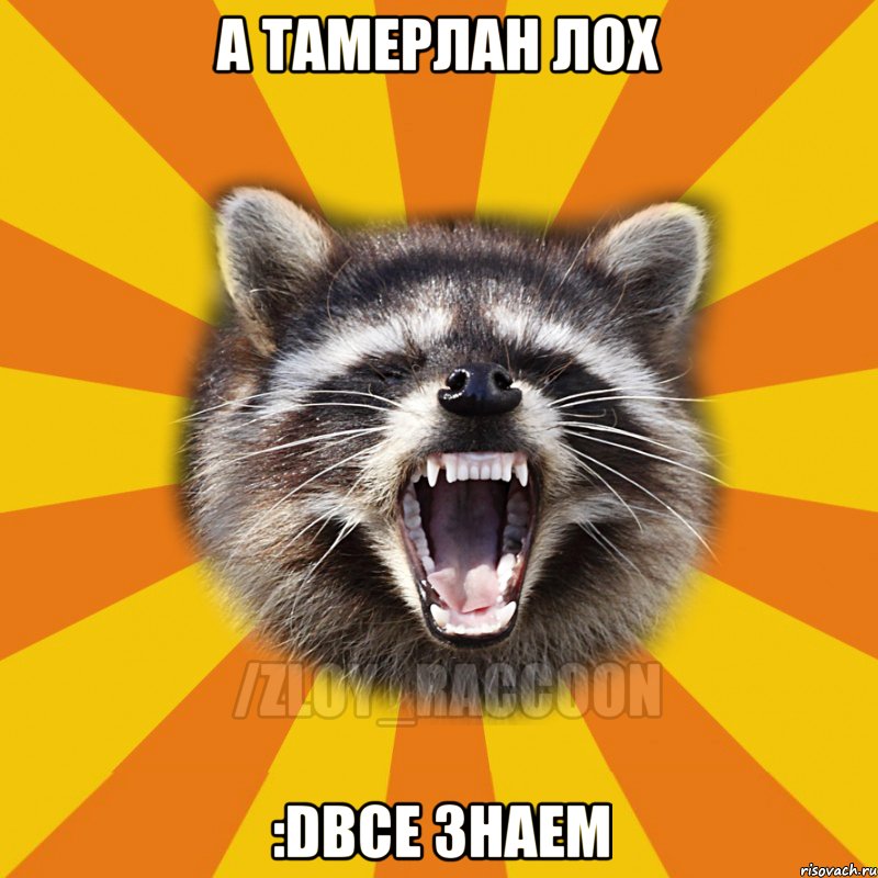 А Тамерлан лох :DВсе знаем