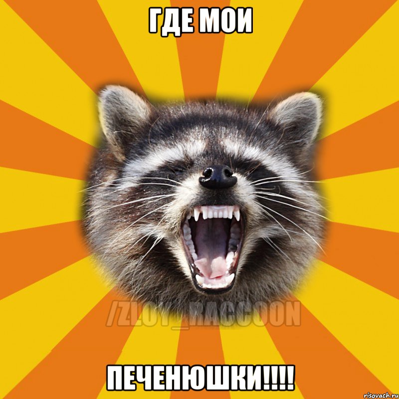 ГДЕ МОИ ПЕЧЕНЮШКИ!!!!