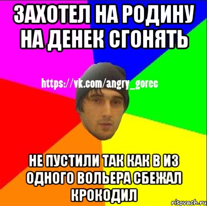 Захотел на родину на денек сгонять Не пустили так как в из одного вольера сбежал крокодил, Мем ЗЛОЙ ГОРЕЦ