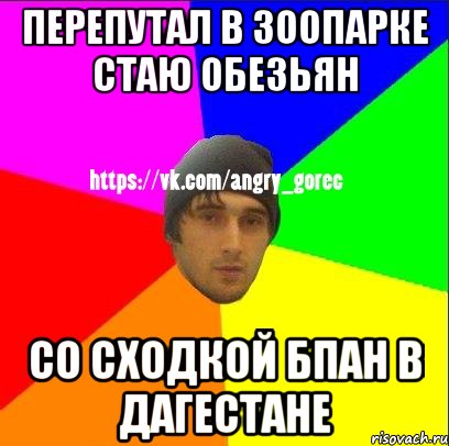 Перепутал в зоопарке стаю обезьян Со сходкой БПАН в дагестане, Мем ЗЛОЙ ГОРЕЦ
