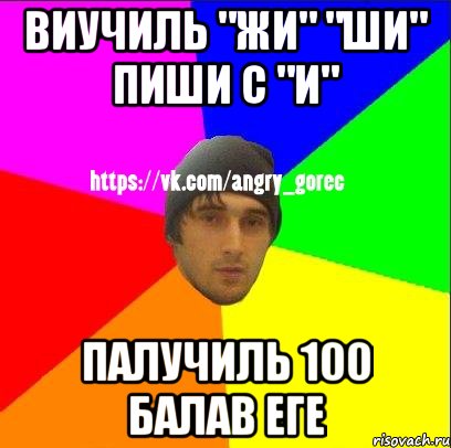 Виучиль "жи" "ши" пиши с "и" Палучиль 100 балав еге, Мем ЗЛОЙ ГОРЕЦ