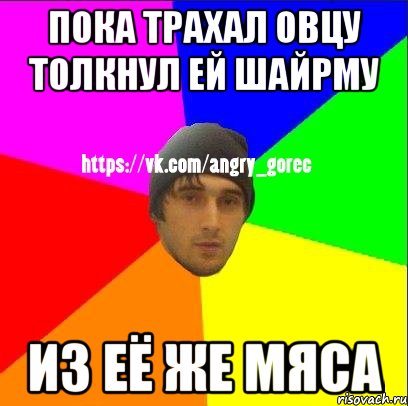 пока трахал овцу толкнул ей шайрму из её же мяса, Мем ЗЛОЙ ГОРЕЦ