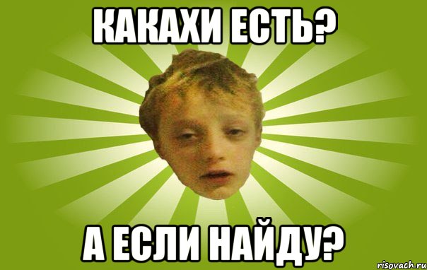 Какахи есть? А если найду?