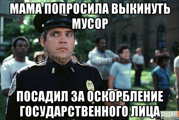 Мама попросила выкинуть мусор посадил за оскорбление государственного лица