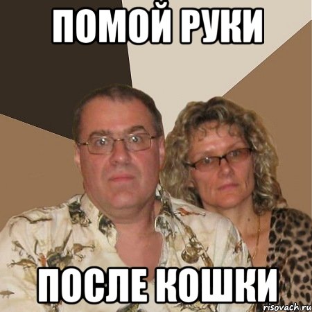 Помой руки после кошки, Мем  Злые родители