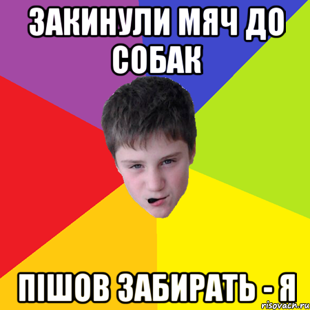 закинули мяч до собак пішов забирать - я