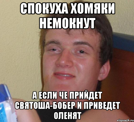 Спокуха хомяки немокнут А если че прийдет святоша-бобер и приведет оленят, Мем 10 guy (Stoner Stanley really high guy укуренный парень)