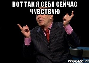 вот так я себя сейчас чувствую , Мем  Веселый жирик