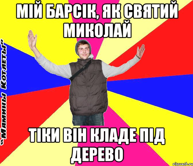мій барсік, як святий миколай тіки він кладе під дерево
