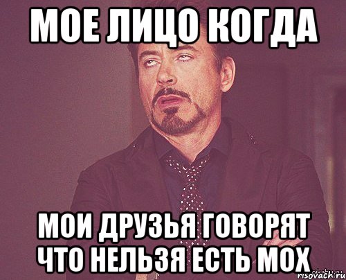 мое лицо когда мои друзья говорят что нельзя есть мох, Мем твое выражение лица