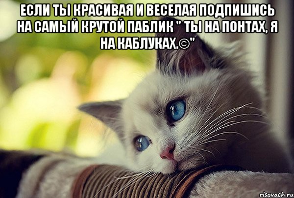 ЕСЛИ ТЫ КРАСИВАЯ И ВЕСЕЛАЯ ПОДПИШИСЬ на самый крутой паблик " Ты на понтах, я на каблуках.©" 
